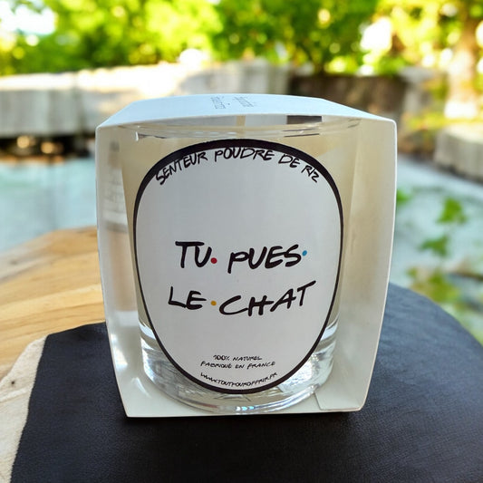Bougie parfumée Friends Tu pues le chat