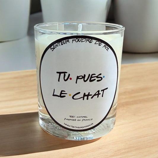 Bougie parfumée Friends Tu pues le chat